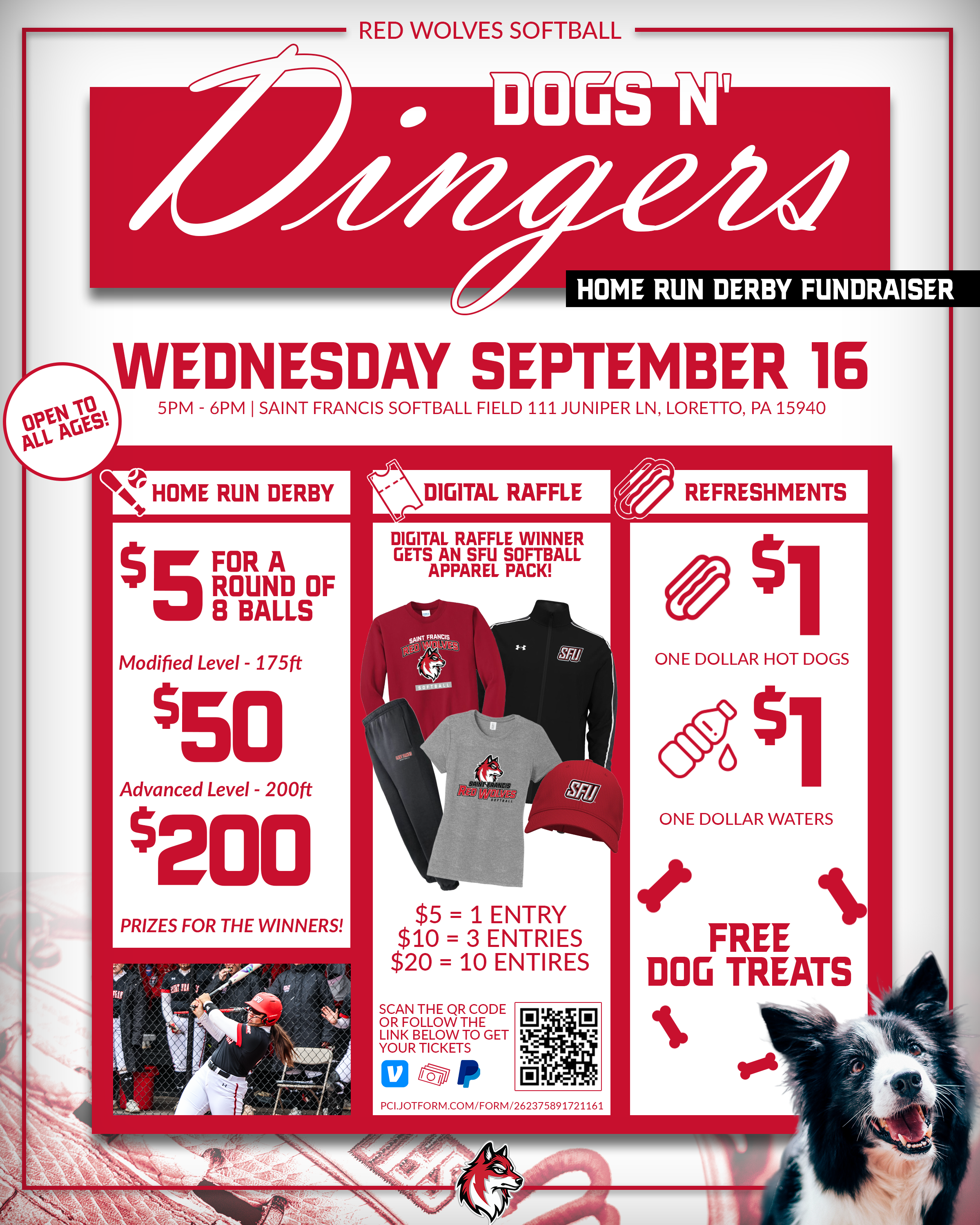 Softball Dogs N Dingers Home Run Derby Event