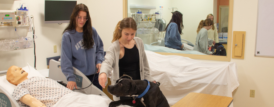 SFU students learning about animal-assisted interventions in a hospital setting