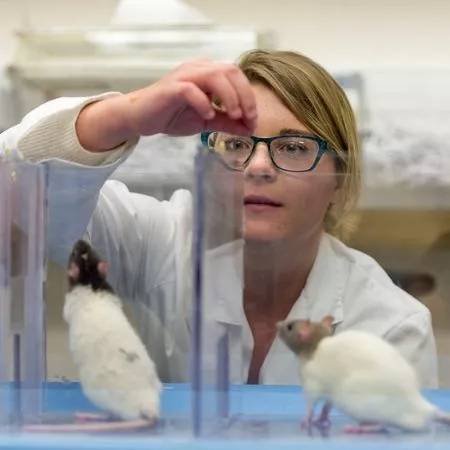 Student in rat lab