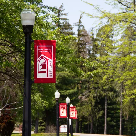 banners on the mall