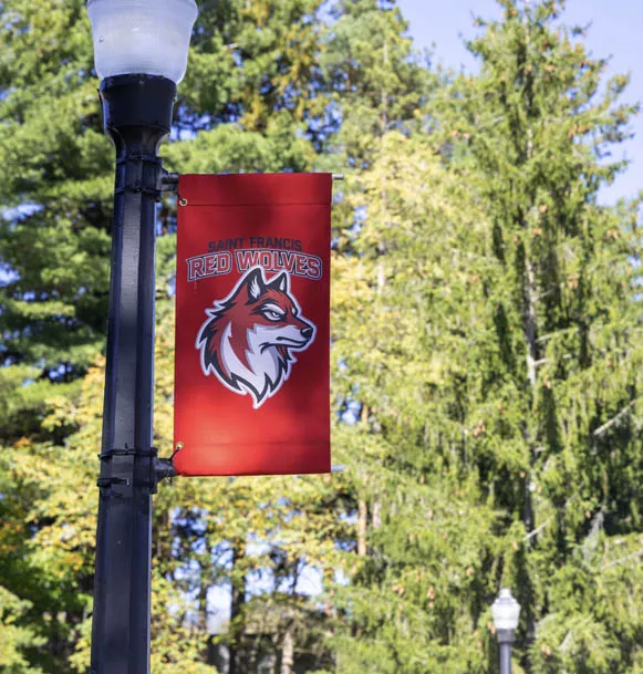 Red Wolves Flag Image