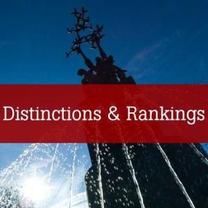 Distinctions and Rankings
