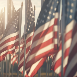 Photo of Flags