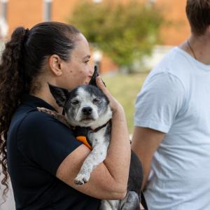 Animal Training on campus