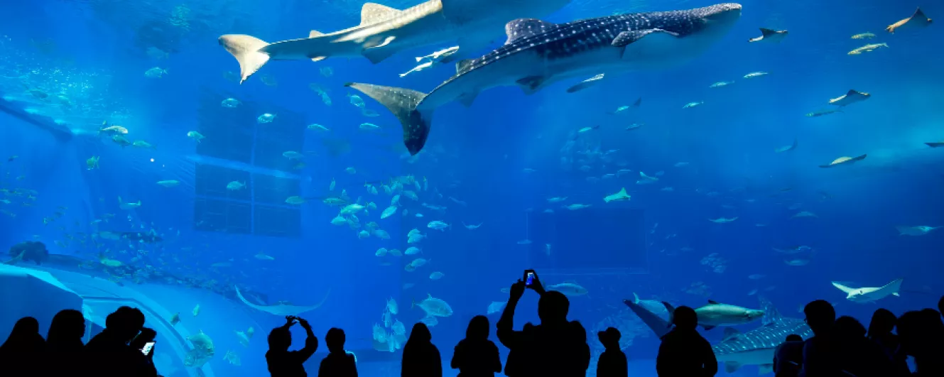 aquarium & zoo banner
