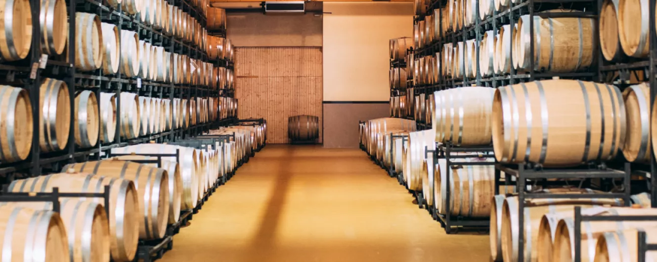 lined up fermentation barrels