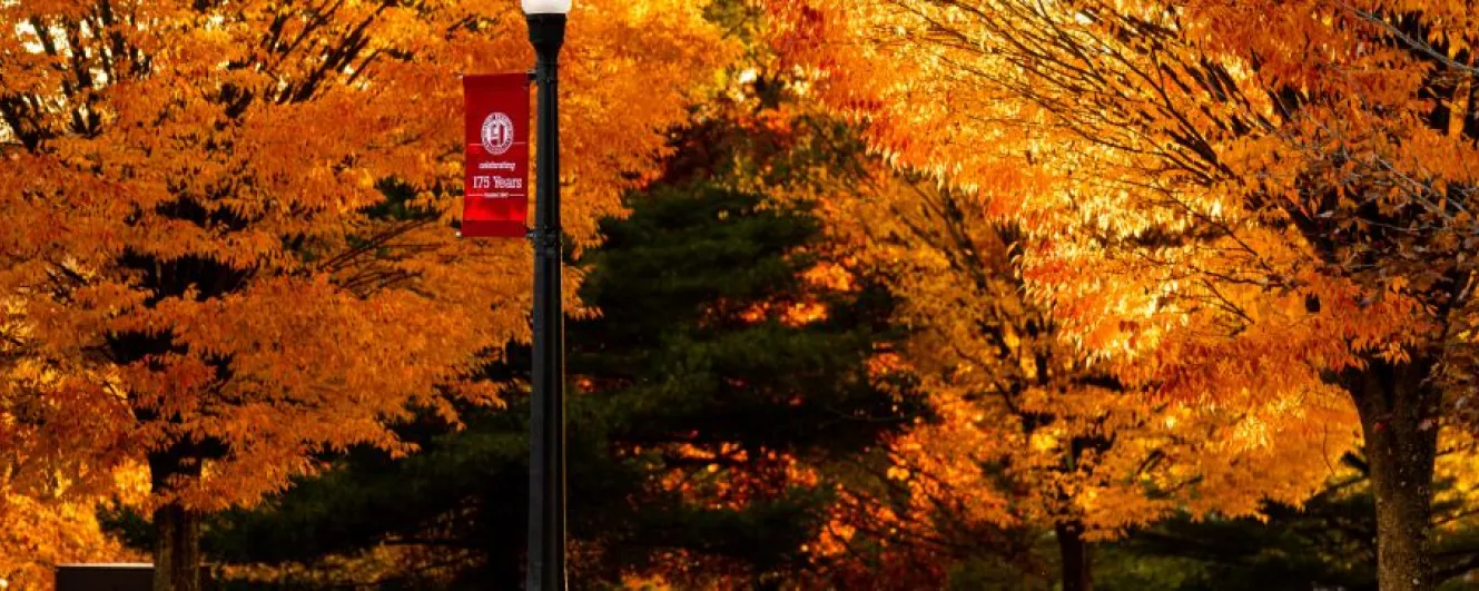 Fall Trees on campus