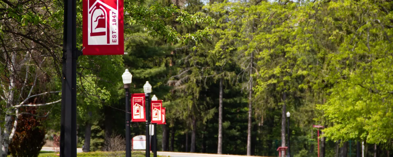 SFU banners on mall