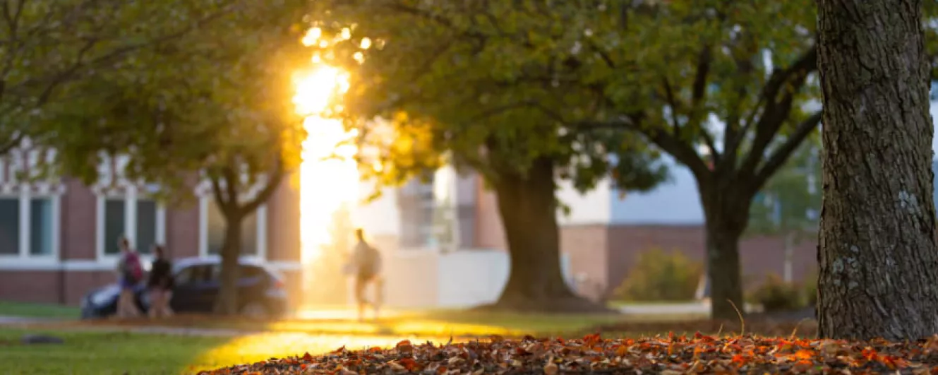 Campus sunset