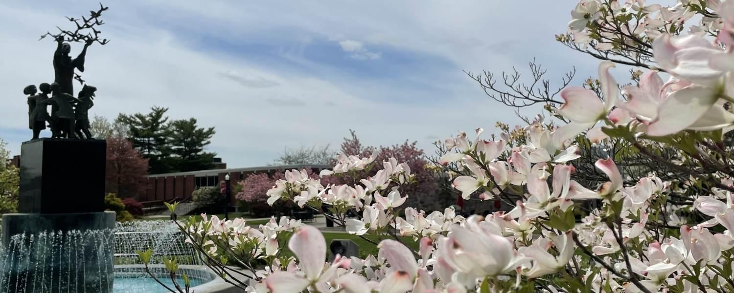 Fountain in spring