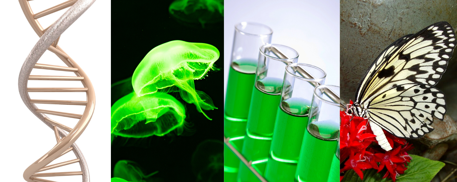 Biology Collage Banner