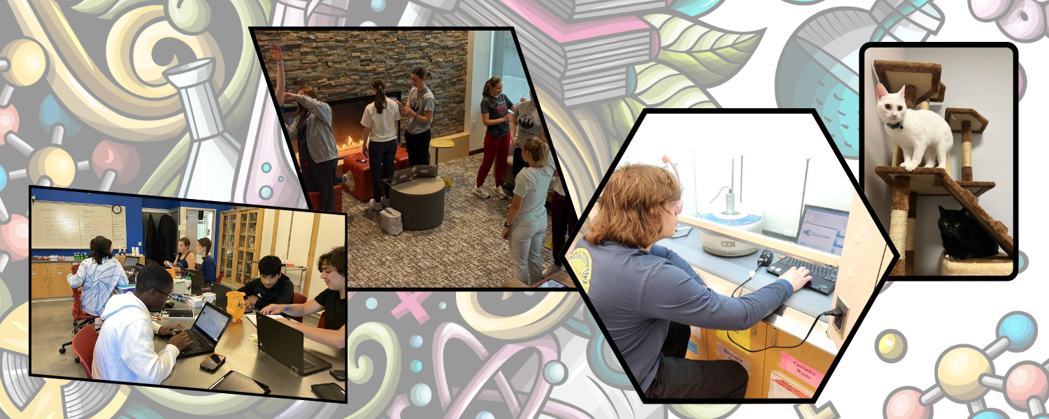 Summer Pre-College Research Banner Image