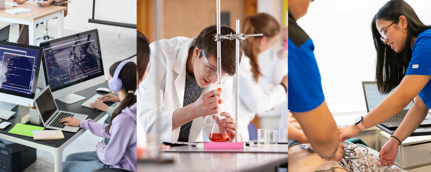 Academies cyber chemistry and premed