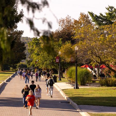 Students Walking on Mall 