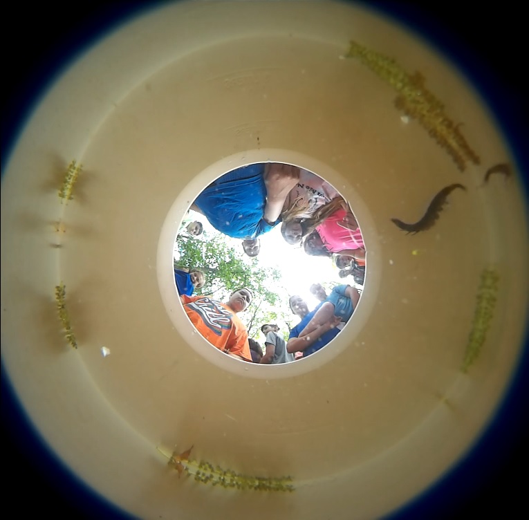 NOAA - Bucket