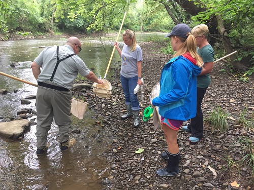 NOAA - Macroinvertebrates