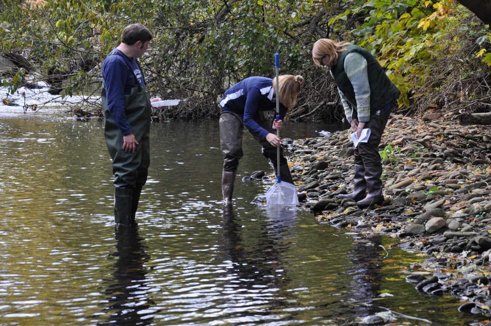 B-WET Stream Assessment