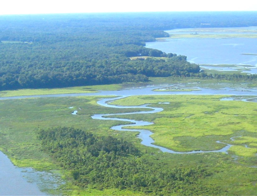 B-WET Watershed from Above