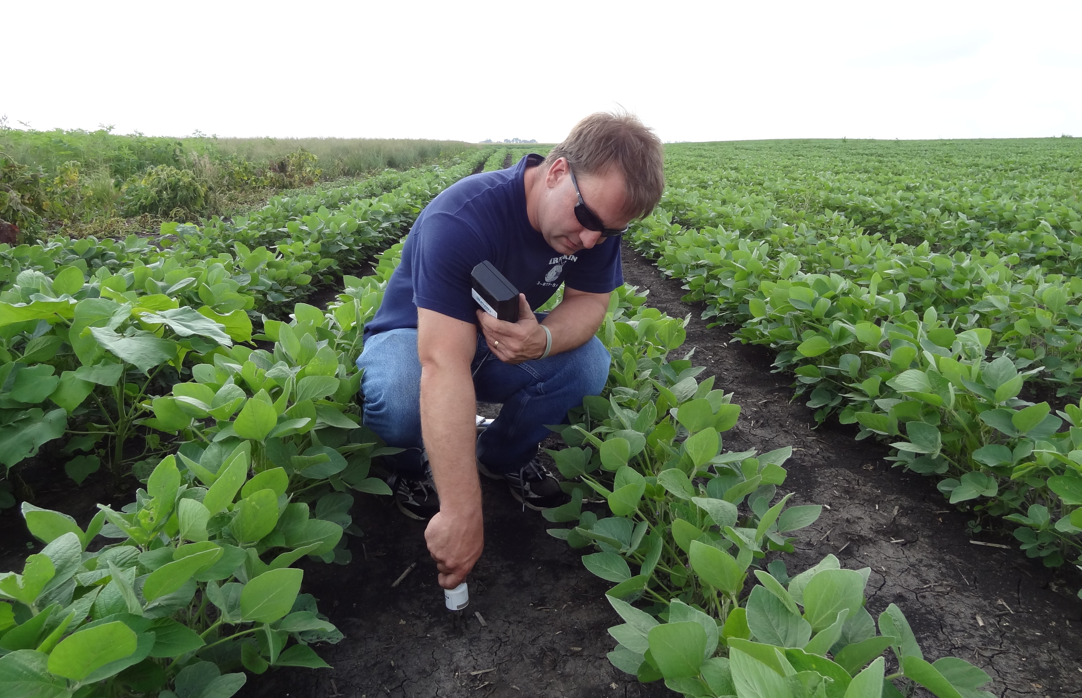 Dr Cosh fieldwork