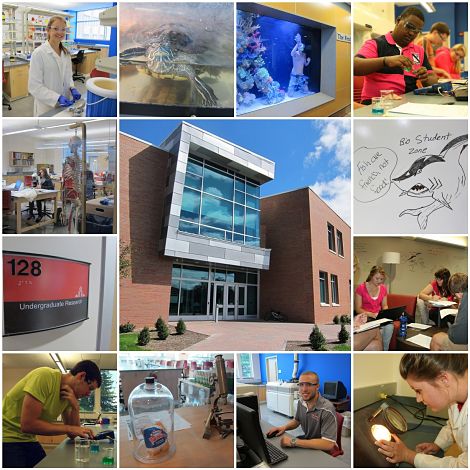 Science Center Collage