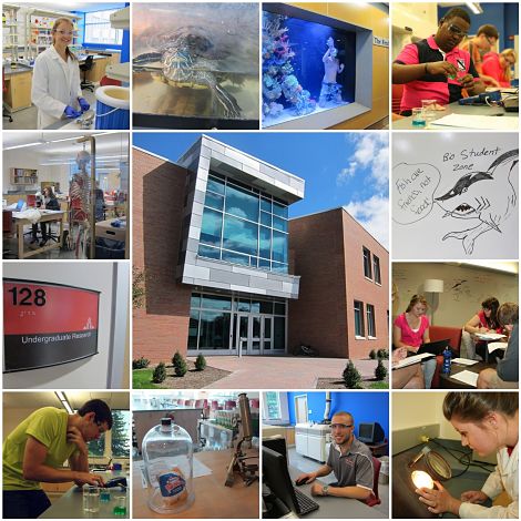 Science Center Collage