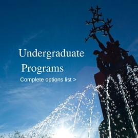 Undergraduate Program Options