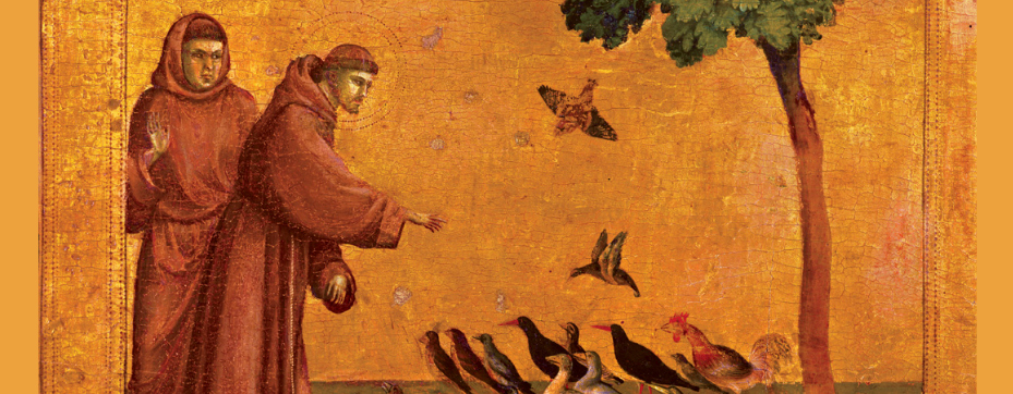 St francis of assisi