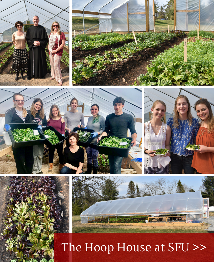 The Hoop House at SFU Progress