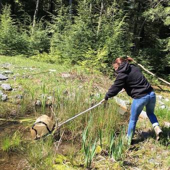 SFU Biology student Jade C. catching invertebrates at Bear Rock Run, Lilly, PA