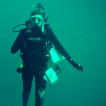 Steph Diving