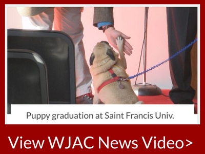 WJAC SFU Puppy Graduation story 2017 